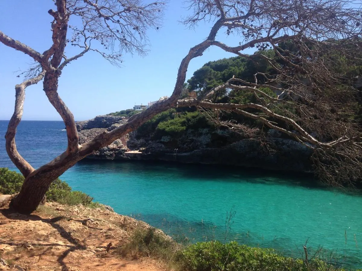 Villa Alegria Cala Egos Cala d'Or