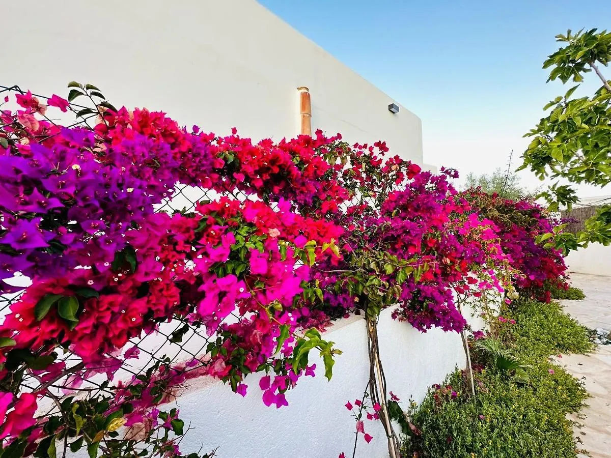 Villa Alegria Cala Egos Cala d'Or   Cala d'Or (Mallorca)